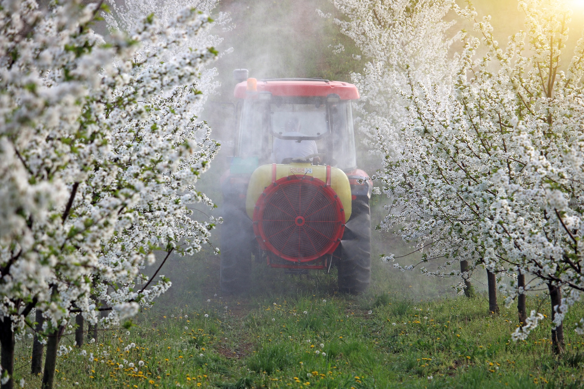 Plant Health & Crop Nutrition