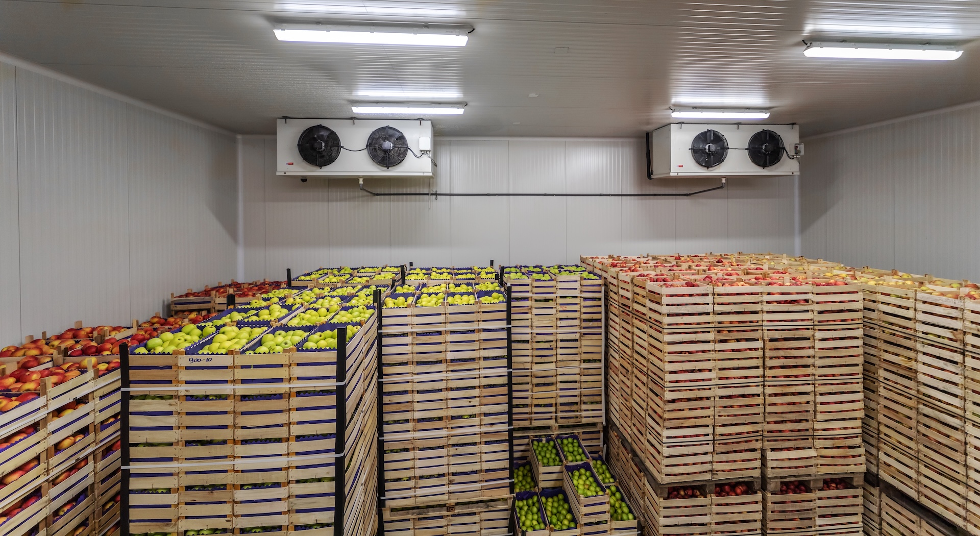 Post-Harvest Solutions & Cold Storage