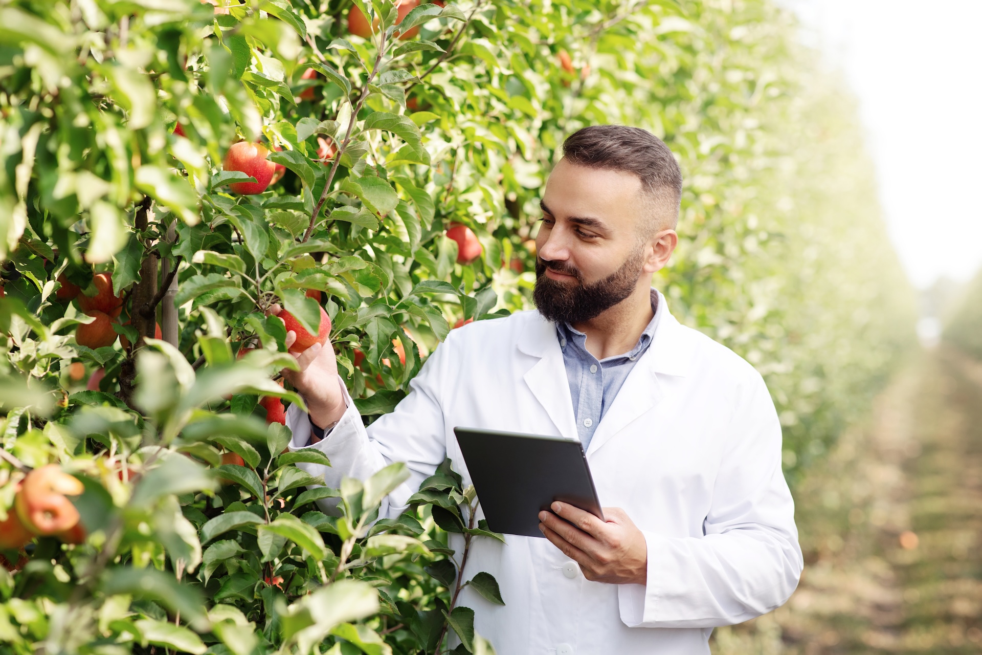 Agricultural Technical Due Diligence & Investment Assessment